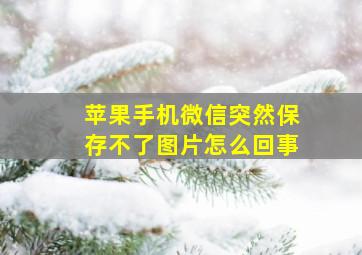 苹果手机微信突然保存不了图片怎么回事