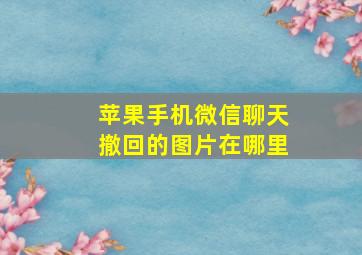 苹果手机微信聊天撤回的图片在哪里