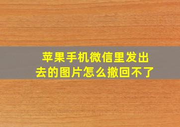 苹果手机微信里发出去的图片怎么撤回不了