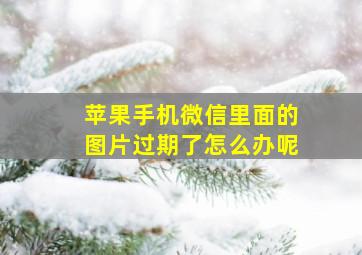 苹果手机微信里面的图片过期了怎么办呢