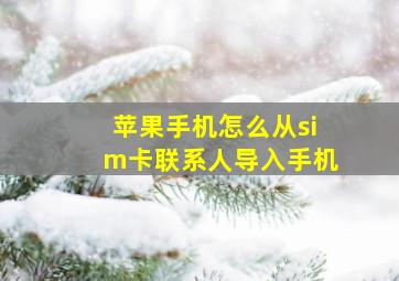 苹果手机怎么从sim卡联系人导入手机