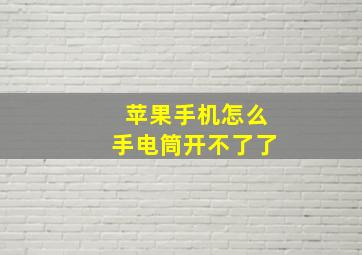 苹果手机怎么手电筒开不了了