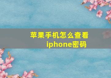 苹果手机怎么查看iphone密码