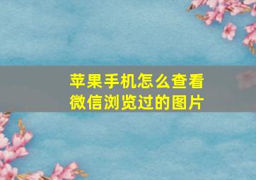 苹果手机怎么查看微信浏览过的图片