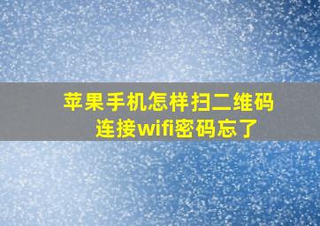 苹果手机怎样扫二维码连接wifi密码忘了