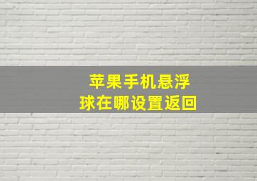 苹果手机悬浮球在哪设置返回