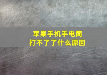 苹果手机手电筒打不了了什么原因