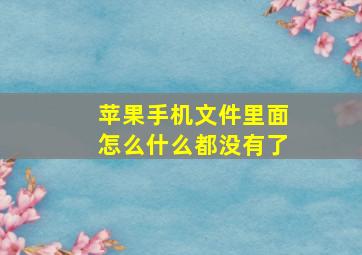 苹果手机文件里面怎么什么都没有了