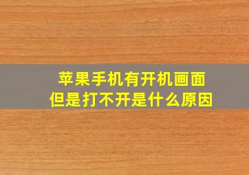 苹果手机有开机画面但是打不开是什么原因