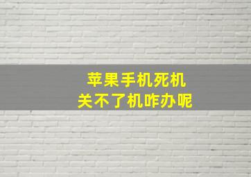 苹果手机死机关不了机咋办呢