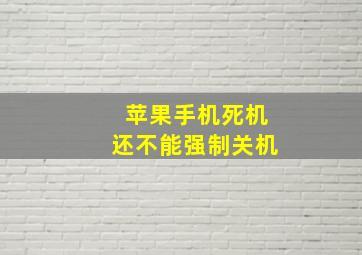 苹果手机死机还不能强制关机