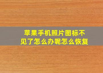 苹果手机照片图标不见了怎么办呢怎么恢复