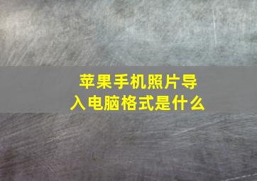 苹果手机照片导入电脑格式是什么