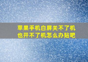 苹果手机白屏关不了机也开不了机怎么办贴吧