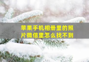 苹果手机相册里的照片微信里怎么找不到