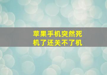 苹果手机突然死机了还关不了机