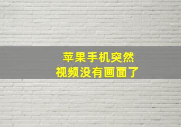 苹果手机突然视频没有画面了