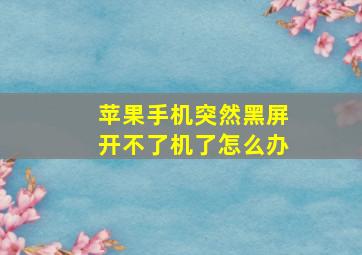 苹果手机突然黑屏开不了机了怎么办