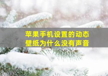 苹果手机设置的动态壁纸为什么没有声音