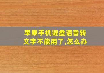 苹果手机键盘语音转文字不能用了,怎么办