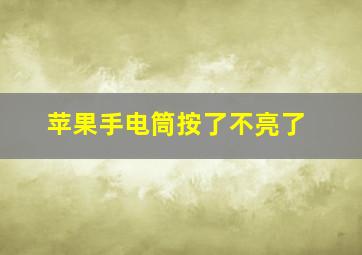 苹果手电筒按了不亮了