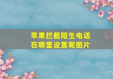 苹果拦截陌生电话在哪里设置呢图片