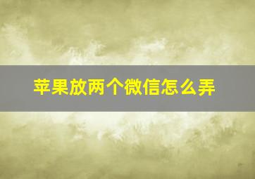 苹果放两个微信怎么弄