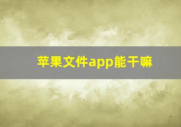 苹果文件app能干嘛