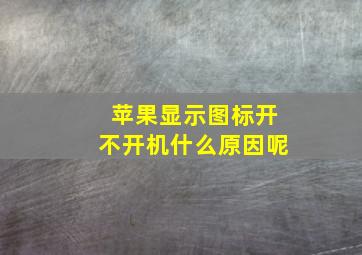 苹果显示图标开不开机什么原因呢