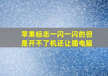 苹果标志一闪一闪的但是开不了机还让插电脑