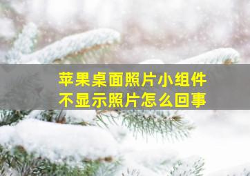 苹果桌面照片小组件不显示照片怎么回事