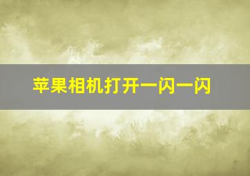 苹果相机打开一闪一闪