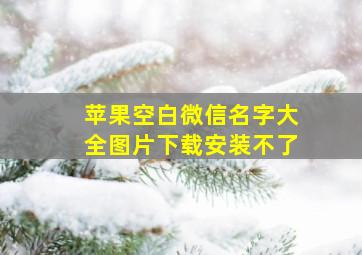 苹果空白微信名字大全图片下载安装不了