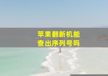 苹果翻新机能查出序列号吗