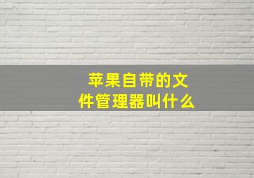 苹果自带的文件管理器叫什么