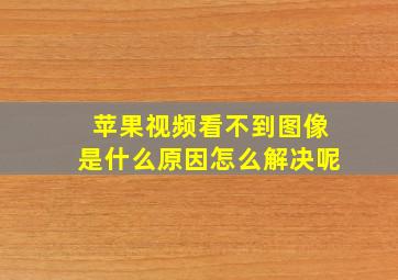 苹果视频看不到图像是什么原因怎么解决呢