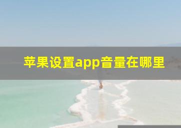 苹果设置app音量在哪里