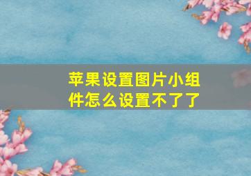 苹果设置图片小组件怎么设置不了了