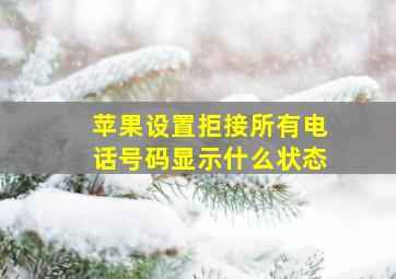 苹果设置拒接所有电话号码显示什么状态