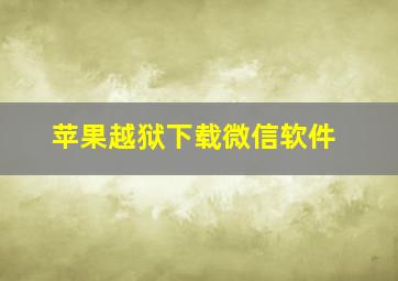 苹果越狱下载微信软件