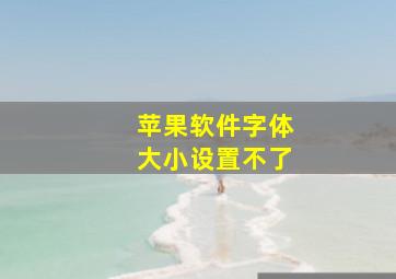 苹果软件字体大小设置不了