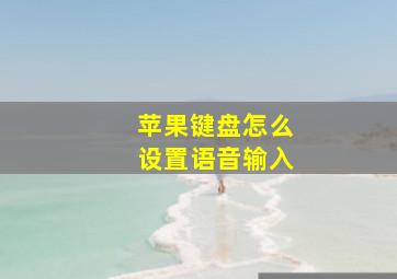 苹果键盘怎么设置语音输入