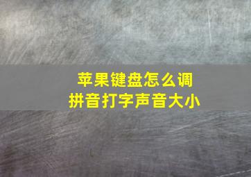 苹果键盘怎么调拼音打字声音大小