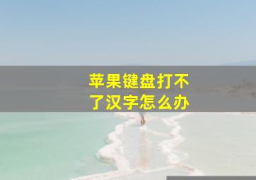 苹果键盘打不了汉字怎么办