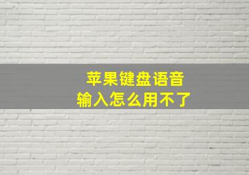 苹果键盘语音输入怎么用不了