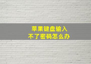 苹果键盘输入不了密码怎么办