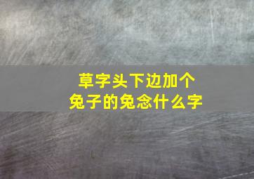 草字头下边加个兔子的兔念什么字