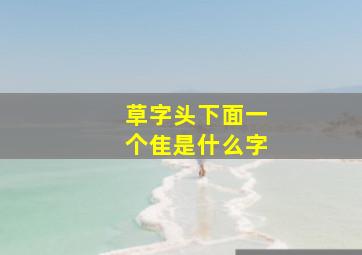 草字头下面一个隹是什么字