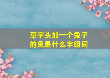 草字头加一个兔子的兔是什么字组词