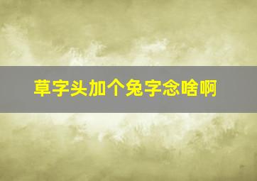 草字头加个兔字念啥啊